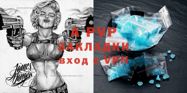 ГАЛЛЮЦИНОГЕННЫЕ ГРИБЫ Белокуриха