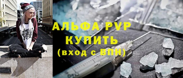 ГАЛЛЮЦИНОГЕННЫЕ ГРИБЫ Белокуриха